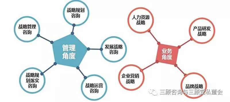 企业管理层的关键角色与战略定位